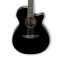 قیمت خرید فروش گیتار آکوستیک Ibanez AEG8E BK